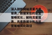 深入剖析网站流量月度报表，数据背后的运营策略优化，解码流量报表，月度数据分析与运营策略优化路径