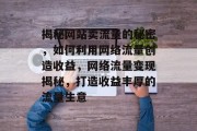 揭秘网站卖流量的秘密，如何利用网络流量创造收益，网络流量变现揭秘，打造收益丰厚的流量生意