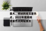 2022年哪些网站流量大，揭秘网络流量热点，2022年度网络流量热点网站盘点