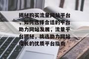 揭秘购买流量网站平台，如何选择合适的平台助力网站发展，流量平台揭秘，挑选助力网站成长的优质平台指南