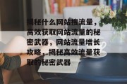 揭秘什么网站搜流量，高效获取网站流量的秘密武器，网站流量增长攻略，揭秘高效流量获取的秘密武器
