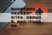 揭秘收藏流量网站，如何吸引海量用户，打造热门平台，流量网站秘籍，揭秘热门平台吸粉策略