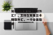 如何在斯里兰卡赚取外汇?,怎样在斯里兰卡赚取外汇,一个全面指南 如何在斯里兰卡赚取外汇?,怎样在斯里兰卡赚取外汇,一个全面指南