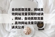 自动抓取流量，揭秘高效网站流量获取的秘诀，揭秘，自动抓取流量，高效网站流量获取秘诀大公开