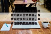 流量官网站，互联网时代的新兴营销利器，互联网时代的流量官，革新营销的数字利器