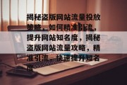 揭秘盗版网站流量投放策略，如何精准引流，提升网站知名度，揭秘盗版网站流量攻略，精准引流，快速提升知名度