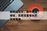 新网站优化，提升网站排名，实现流量增长的关键策略