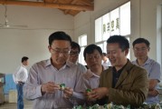 了解通货膨胀：它如何悄悄影响您的购买力?