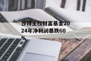 沙特主权财富基金2024年净利润暴跌60%