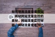 如何使用流量查看网站，揭秘网站流量监控的奥秘，网站流量监控秘籍，揭秘流量查看技巧