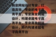 商业网站设计专业，打造高效、专业的电子商务平台，专业商业网站设计，构建卓越电子商务平台，专业商业网站设计，助力构建卓越电子商务平台