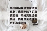 揭秘网站媒体流量造假乱象，流量泡沫下的真实困境，网站流量造假揭秘，揭开流量泡沫背后的真实困境