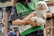 投保时如何考虑家庭的财务状况？