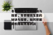 冬季赚钱生意的秘诀与探索,冬季赚钱生意的秘诀与探索,如何把握商机赚取丰厚利润 冬季赚钱生意的秘诀与探索,冬季赚钱生意的秘诀与探索,如何把握商机赚取丰厚利润