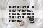 网络流量分析工具，有效提高你的业务收益，打造高效、精准的网络流量分析工具，提升您的业务收益