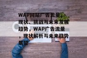 WAP网站广告流量，现状、挑战与未来发展趋势，WAP广告流量，现状解析与未来趋势展望