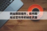 网站跟踪插件，提升网站运营效率的秘密武器