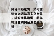 揭秘网络迷雾，如何准确查询网站真实点击量，破解网络迷雾，揭秘精准查询网站点击量之道