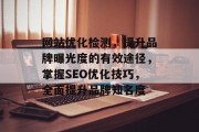 网站优化检测，提升品牌曝光度的有效途径，掌握SEO优化技巧，全面提升品牌知名度