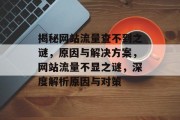 揭秘网站流量查不到之谜，原因与解决方案，网站流量不显之谜，深度解析原因与对策