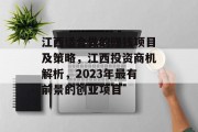 江西适合做的赚钱项目及策略，江西投资商机解析，2023年最有前景的创业项目
