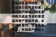 网站域名查询功能，助力企业打造专业形象，提升用户体验，域名查询助力企业专业形象塑造与用户体验升级，企业域名查询，塑造专业形象，升级用户体验之道