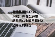 阜博集团(03738.HK)：拟在公开市场购回总金额不超过2亿港元的股份