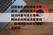 深度解析必应网站流量查询，如何精准评估网站访问量与优化策略，揭秘必应网站流量查询，精准评估与优化策略全解析