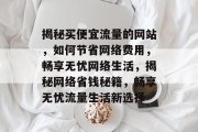 揭秘买便宜流量的网站，如何节省网络费用，畅享无忧网络生活，揭秘网络省钱秘籍，畅享无忧流量生活新选择