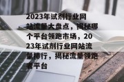 2023年试剂行业网站流量大盘点，揭秘哪个平台领跑市场，2023年试剂行业网站流量排行，揭秘流量领跑者平台