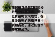 如何在竞争激烈的网络世界中脱颖而出，通过低价策略实现成功，在竞争激烈的网络世界中脱颖而出，通过低价策略实现成功。
