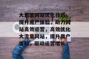 大流量网站优化技巧，提升用户体验，助力网站高效运营，高效优化大流量网站，提升用户体验，驱动运营增长