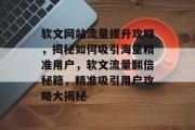 软文网站流量提升攻略，揭秘如何吸引海量精准用户，软文流量翻倍秘籍，精准吸引用户攻略大揭秘
