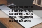 网站文章流量提升攻略，掌握核心代码，轻松实现流量翻倍，核心代码解锁，轻松翻倍网站文章流量的实战攻略