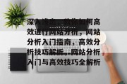 深入浅出，教你如何高效进行网站分析，网站分析入门指南，高效分析技巧解析，网站分析入门与高效技巧全解析