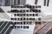 揭秘网站刷流量背后的秘密，论坛成流量黑市，合规经营亟待重视，网络流量黑市揭秘，论坛成刷量重灾区，合规经营刻不容缓