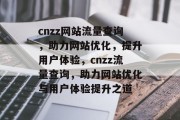 cnzz网站流量查询，助力网站优化，提升用户体验，cnzz流量查询，助力网站优化与用户体验提升之道