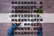柳州企业网站建设，助力企业数字化转型，提升品牌影响力，柳州企业数字化转型新引擎，网站建设助力品牌影响力飞跃，柳州企业数字化转型新引擎，网站建设驱动品牌影响力腾飞