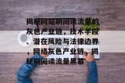 揭秘网站刷阅读流量的灰色产业链，技术手段、潜在风险与法律边界，网络灰色产业链，揭秘刷阅读流量黑幕
