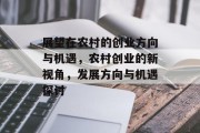 展望在农村的创业方向与机遇，农村创业的新视角，发展方向与机遇探讨
