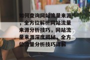 如何查询网站流量来源，全方位解析网站流量来源分析技巧，网站流量来源深度揭秘，全方位流量分析技巧详解