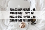 高效监控网站流量，这些插件助你一臂之力！网站流量监控利器，精选插件助你高效管理
