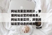 网站流量监测统计，掌握网站运营的晴雨表，网站流量监控，洞察网站运营动态的晴雨表