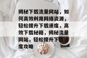 揭秘下载流量网站，如何高效利用网络资源，轻松提升下载速度，高效下载秘籍，揭秘流量网站，轻松提升下载速度攻略