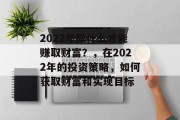 2022年做什么才能赚取财富？，在2022年的投资策略，如何获取财富和实现目标
