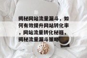 揭秘网站流量漏斗，如何有效提升网站转化率，网站流量转化秘籍，揭秘流量漏斗策略