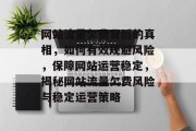 网站流量欠费背后的真相，如何有效规避风险，保障网站运营稳定，揭秘网站流量欠费风险与稳定运营策略