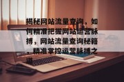 揭秘网站流量查询，如何精准把握网站运营脉搏，网站流量查询秘籍，精准掌控运营脉搏之道