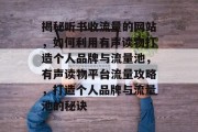 揭秘听书收流量的网站，如何利用有声读物打造个人品牌与流量池，有声读物平台流量攻略，打造个人品牌与流量池的秘诀