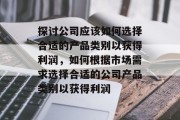 探讨公司应该如何选择合适的产品类别以获得利润，如何根据市场需求选择合适的公司产品类别以获得利润